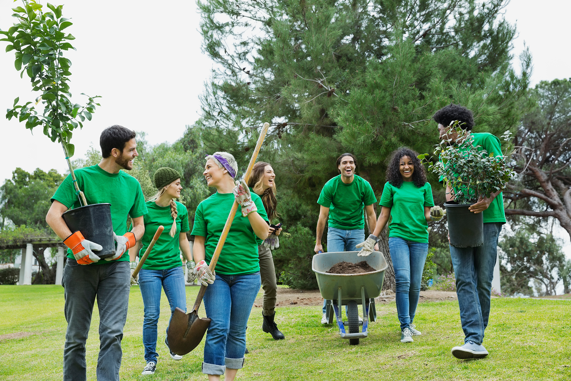 Eine Gruppe Freiwilliger draußen trägt Pflanzen und Schaufeln